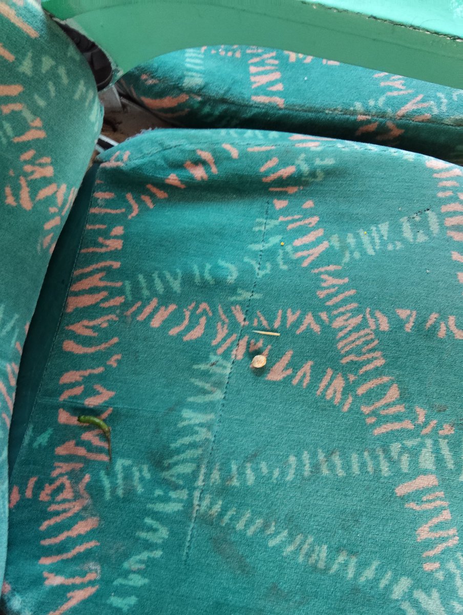 Trkhati2020's tweet photo. @RailwaySeva the train seats and entire AC chair coach is not cleaned properly. Strains and waste material from previous trip is spreading everywhere, kindly arrange to clean it. 
PNR- 6464466039 https://t.co/FvCzJzwt5W