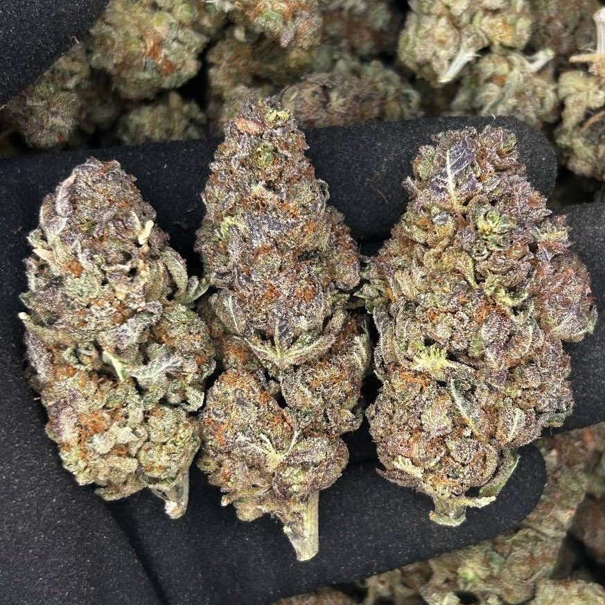 Silent Deal tweet media