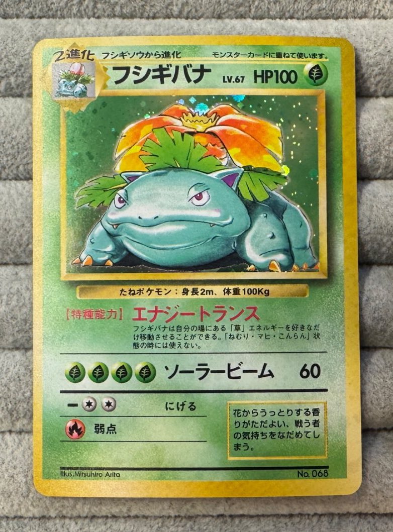 アドレナリン日本橋店 商品紹介📢】 旧裏 初版 マークなし フシギバナ