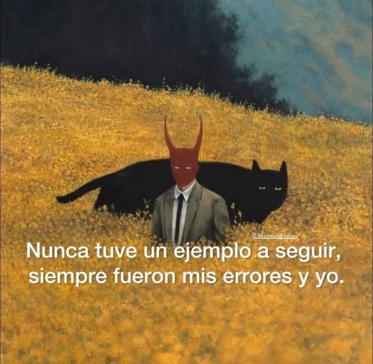 Dilo con gatitoz tweet media