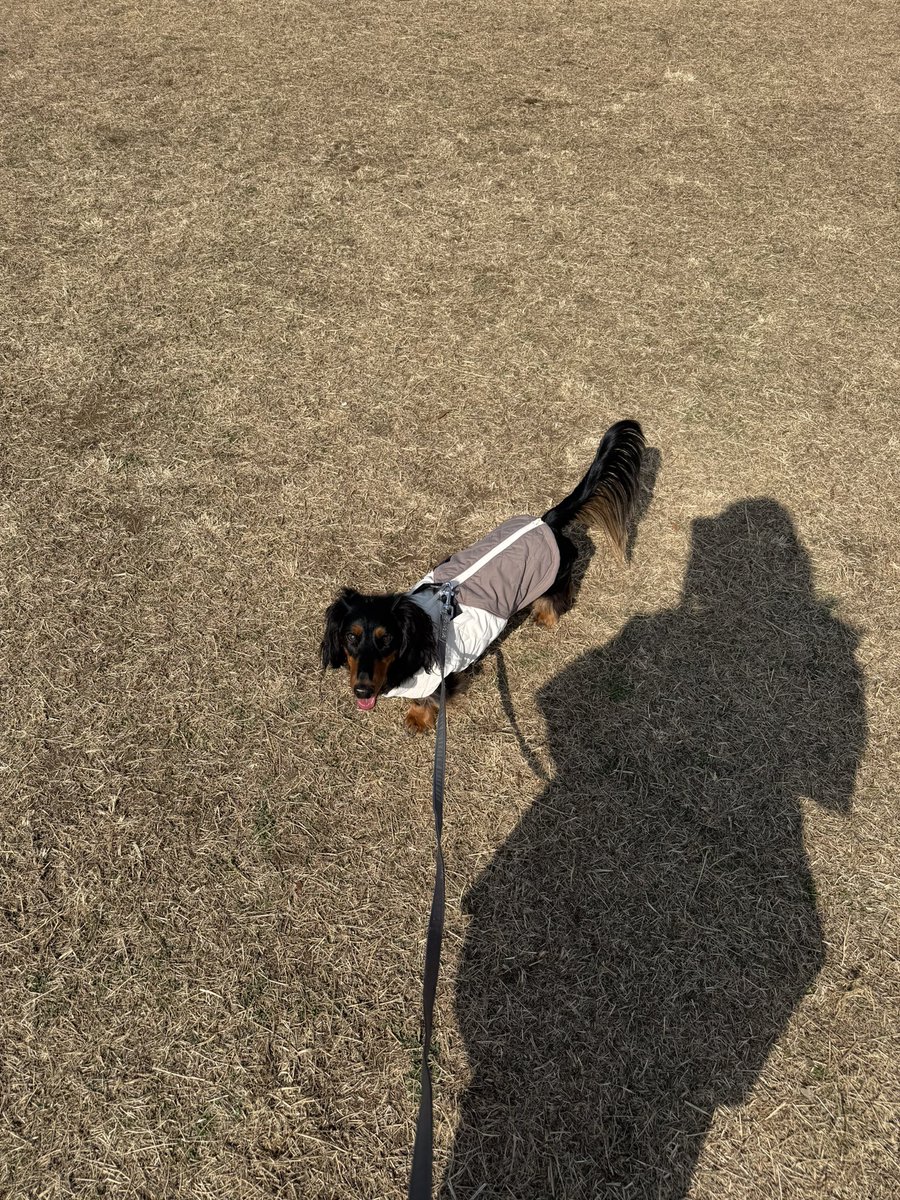 暖かかったね☀️