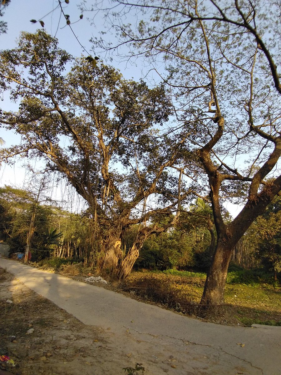 তুমি ডাক দিয়েছ কোন্ সকালে কেউ তা জানে না , 
আমার মন যে কাঁদে আপন-মনে কেউ তা মানে না ।
... 
আকাশে কার ব্যাকুলতা , বাতাস বহে কার বারতা , 
এ পথে সেই গোপন কথা কেউ তো আনে না । ... 🎶