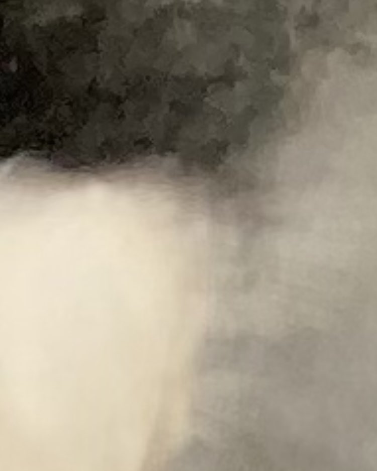 ふっきゅん tweet media