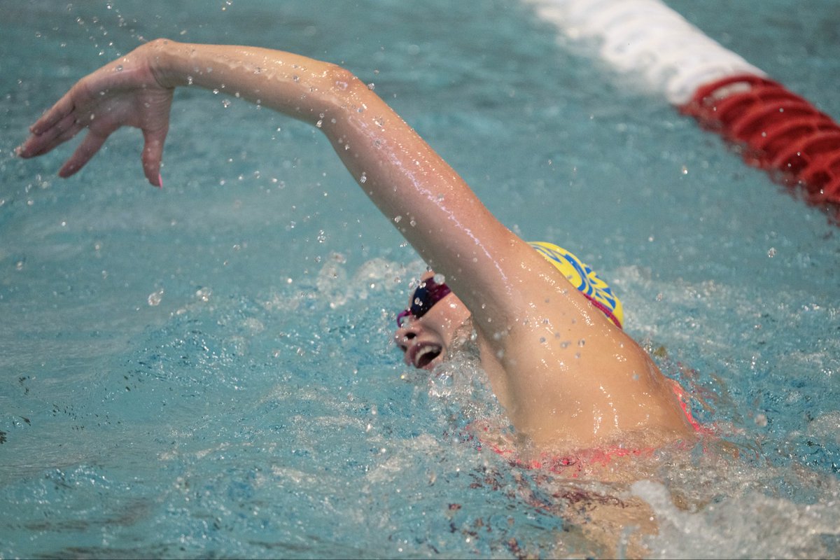 SJSU Swimming&Diving tweet media