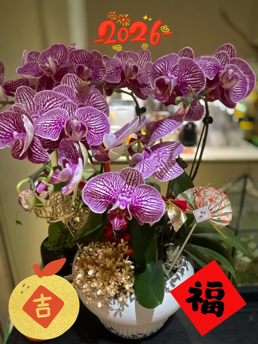 💦🔥🌽 tweet media