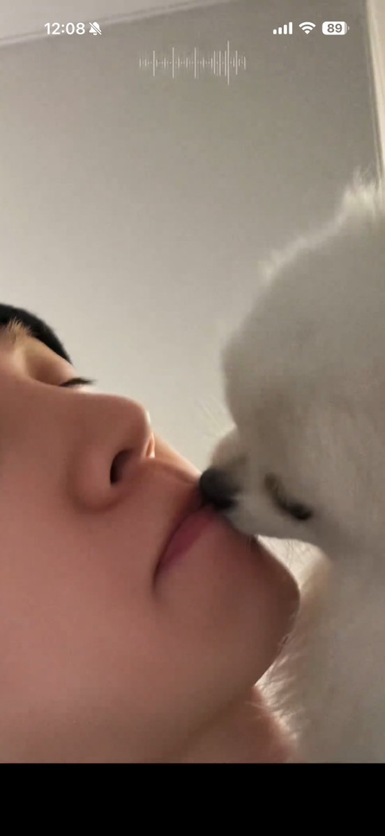 キャンディー様もイケメンが好きなのか(違う)