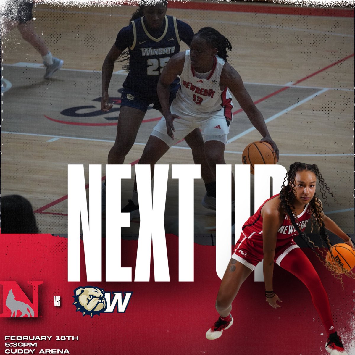 Newberry_womensbasketball tweet media