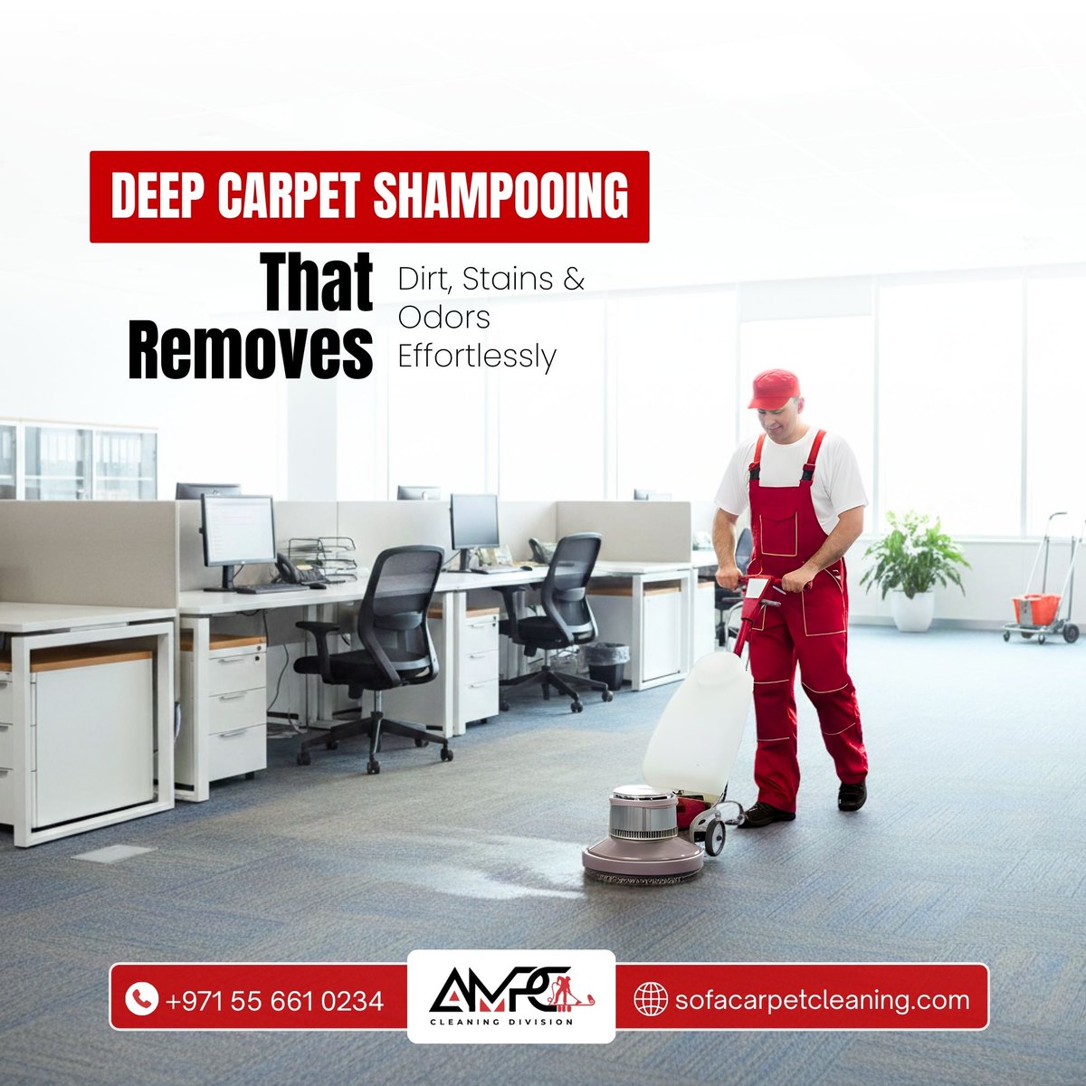 Sofa and Carpet Cleaning Services tweet media