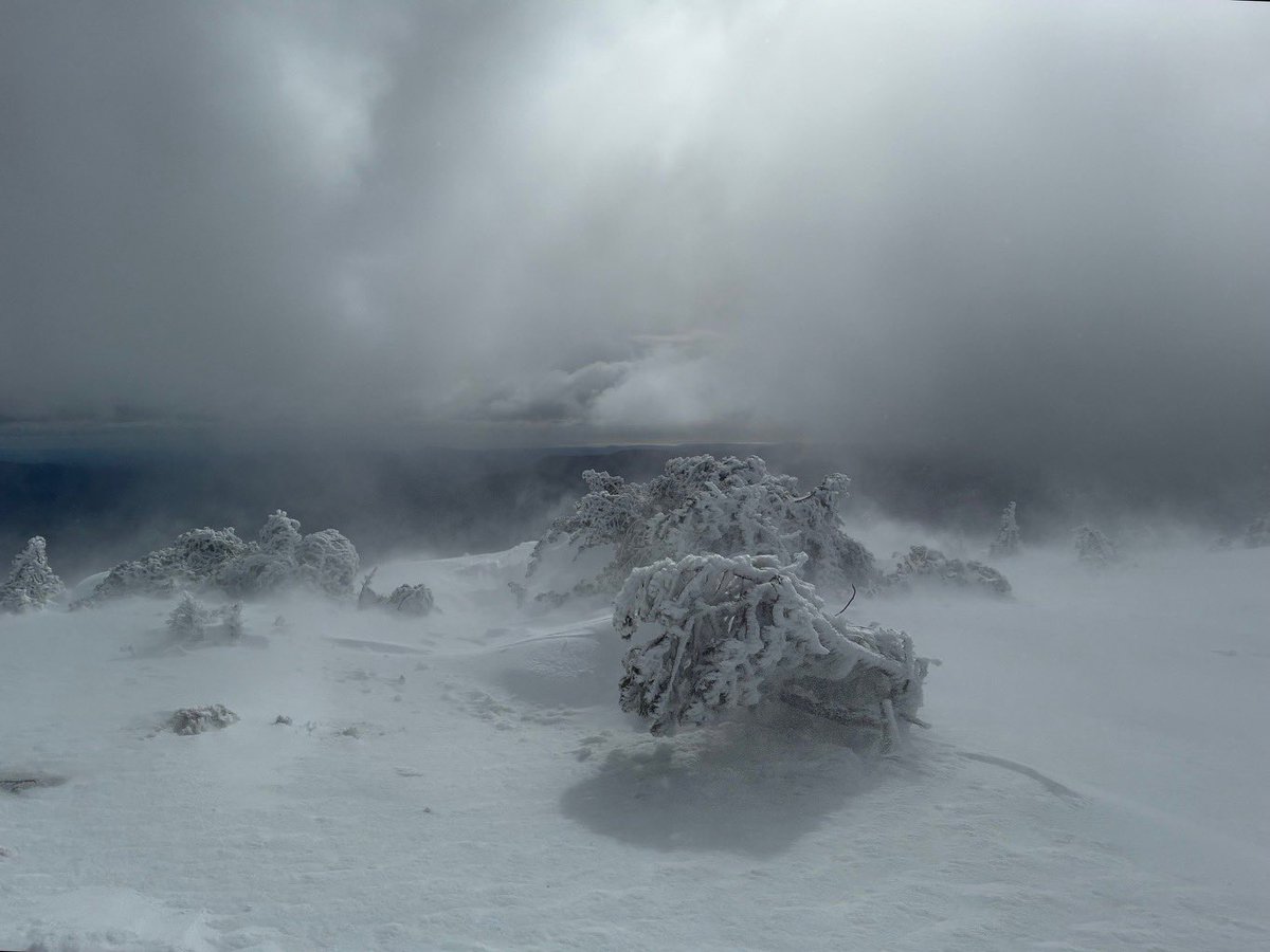Les Cévennes d’Oraterra tweet media