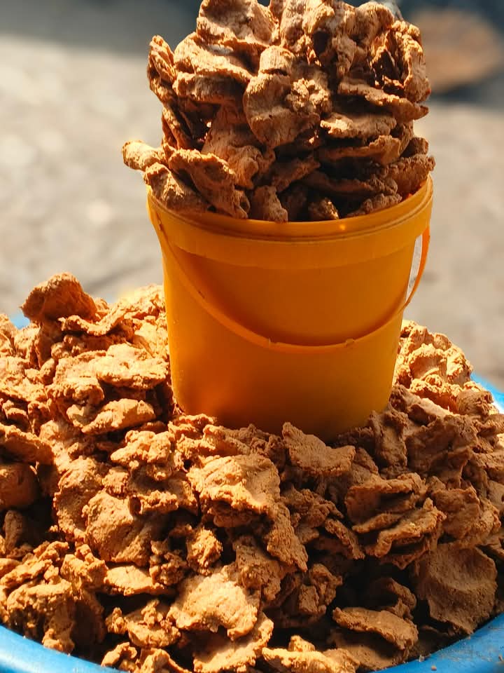 VTarvershima's tweet photo. Fresh crunchy Garri  and Kulikuli without sand Available for immediately pick up 

Custard Rubber of Garri 1500.
Mudu 600
Kulikuli Custard Rubber 7k.
Mudu 2500.

Makurdi and Lafia.
Nation wide delivery .

07082478508/Whatsapp 
07054149644. https://t.co/YWXGAyq7Xt