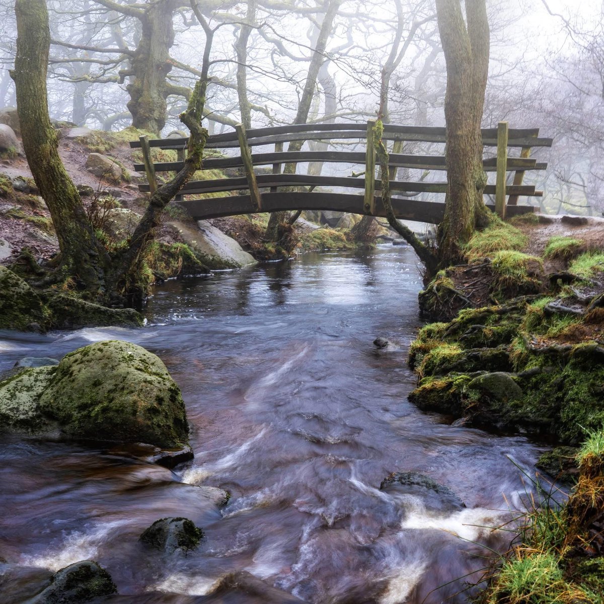 peaklass tweet media