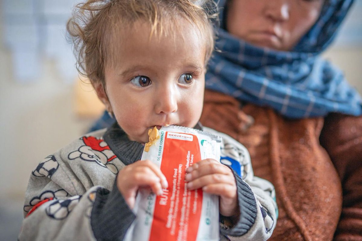TajudeenOyewale's tweet image. .@UNICEFAfg is grateful to @francediplo_EN &amp;amp; our sister agency @FAOAfghanistan for this collaboration to address #FoodInsecurity &amp;amp; #malnutrition for earthquake-affected families in eastern Afghanistan. 

When we align around children, real impact follows: bit.ly/4qI4fji