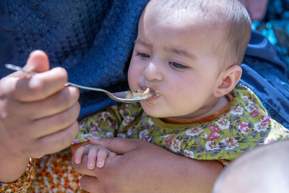TajudeenOyewale's tweet image. .@UNICEFAfg is grateful to @francediplo_EN &amp;amp; our sister agency @FAOAfghanistan for this collaboration to address #FoodInsecurity &amp;amp; #malnutrition for earthquake-affected families in eastern Afghanistan. 

When we align around children, real impact follows: bit.ly/4qI4fji