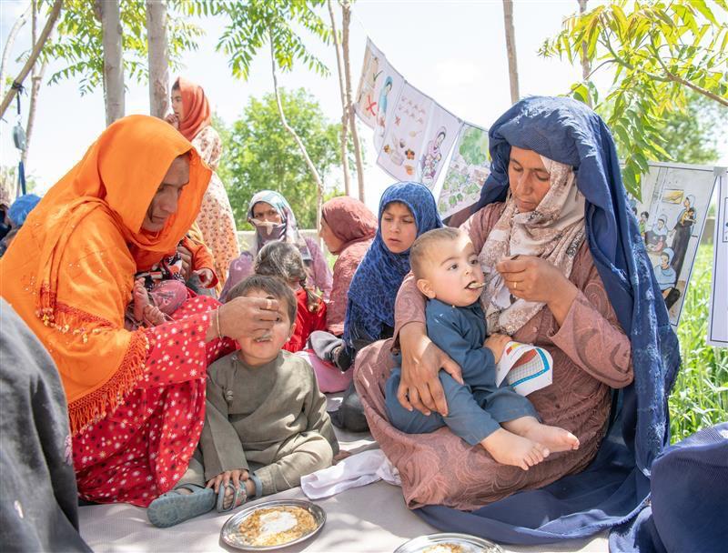 TajudeenOyewale's tweet image. .@UNICEFAfg is grateful to @francediplo_EN &amp;amp; our sister agency @FAOAfghanistan for this collaboration to address #FoodInsecurity &amp;amp; #malnutrition for earthquake-affected families in eastern Afghanistan. 

When we align around children, real impact follows: bit.ly/4qI4fji