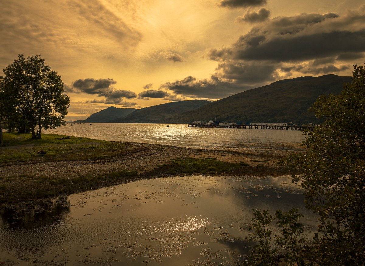 Heike John Ba tweet media