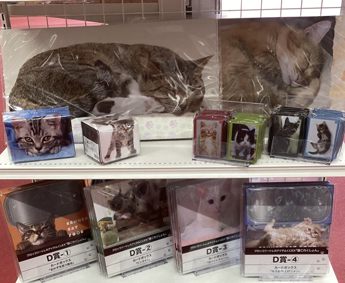 🍀︎くじ情報🍀︎ #トレカアイテムくじ 『🐱 #猫これくしょん🐱』 新規