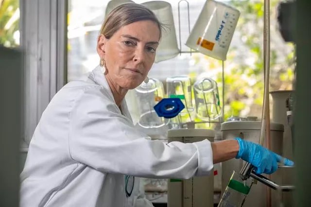 cassioolivveira's tweet photo. Virgínia Fonseca é o #@%# ! A mulher mais influente do Brasil atualmente  é Tatiana Sampaio. 🇧🇷

Essa guerreira silenciosa está mudando vidas com a possível cura para a tetraplegia. Podemos estar testemunhando uma das maiores descobertas da história da medicina. https://t.co/gUNPj4ml9I