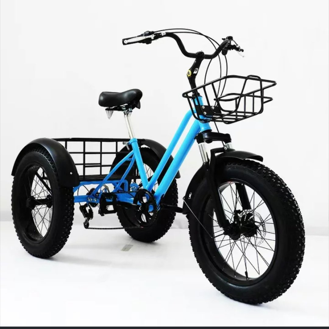 お！なんともイカした大人の三輪車✨