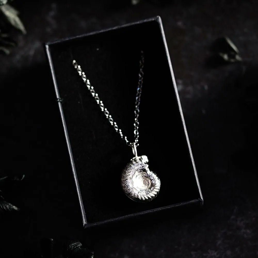 アンモナイト」ネックレス（シルバー）（KANNA） - 海福雑貨通販部