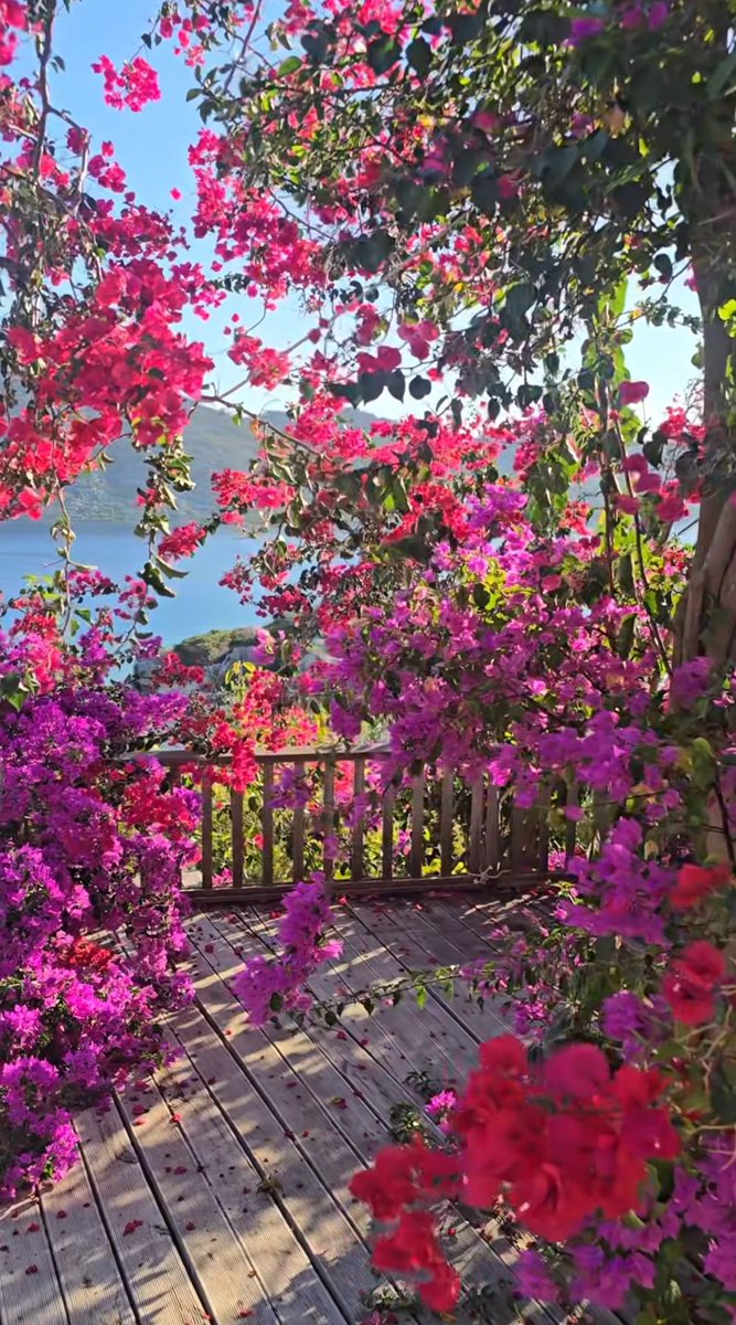 Günaydın 🖐️
#Çarşamba