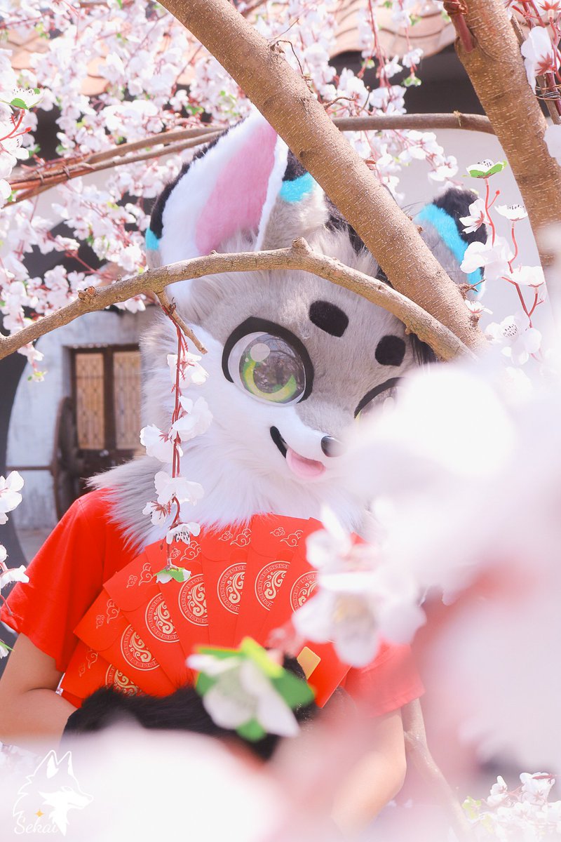 🆁🅴X🆈 🆆🅾️🅾️🅵🆈 🔜 FUVE 2026 tweet media