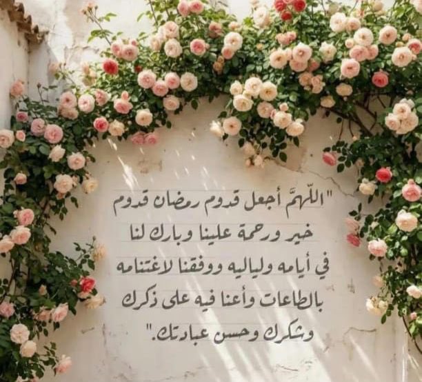sarila24's tweet photo. مبارك عليكم الشهر🪴 https://t.co/a1ML0mdxfE