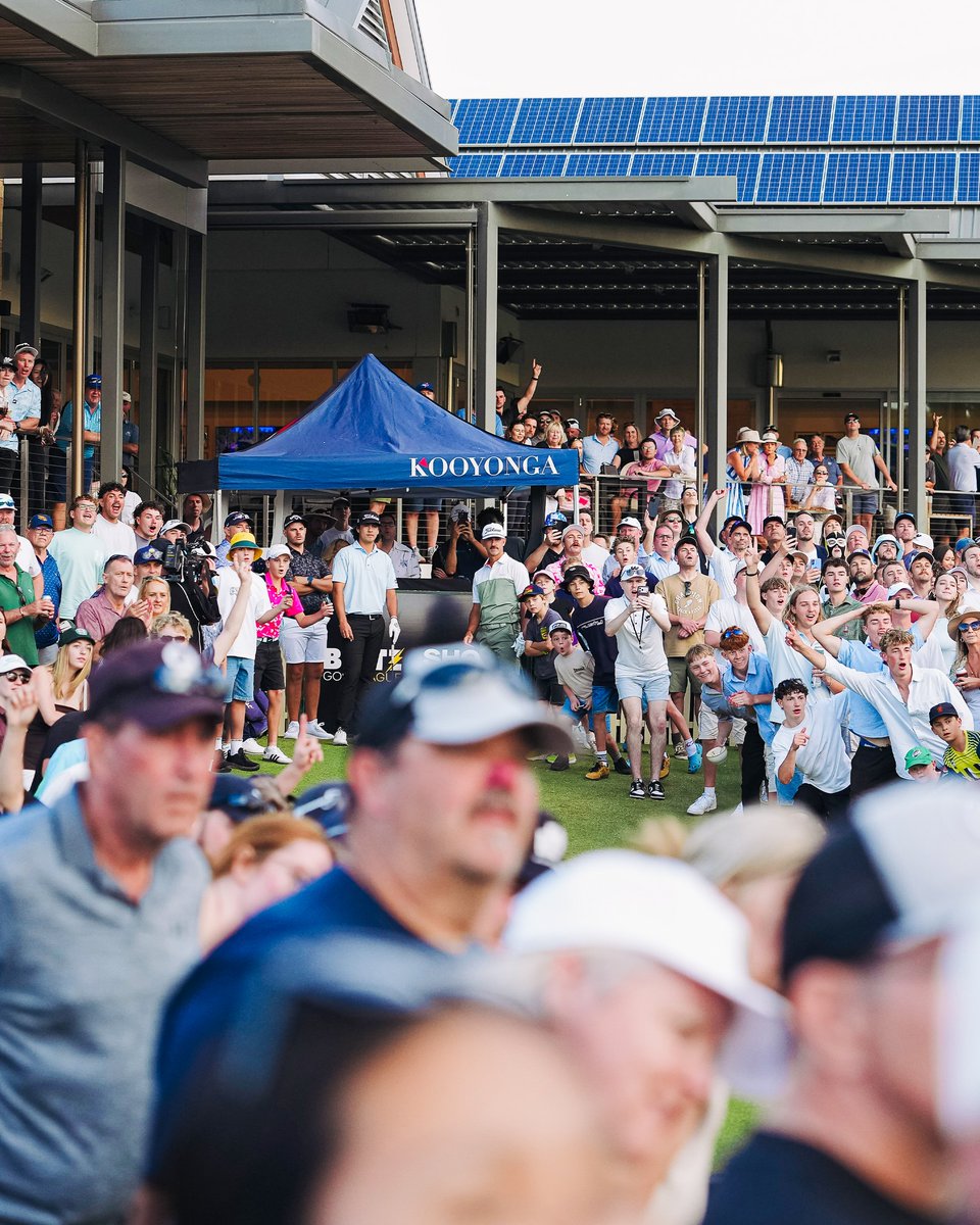 Blitz Golf tweet media