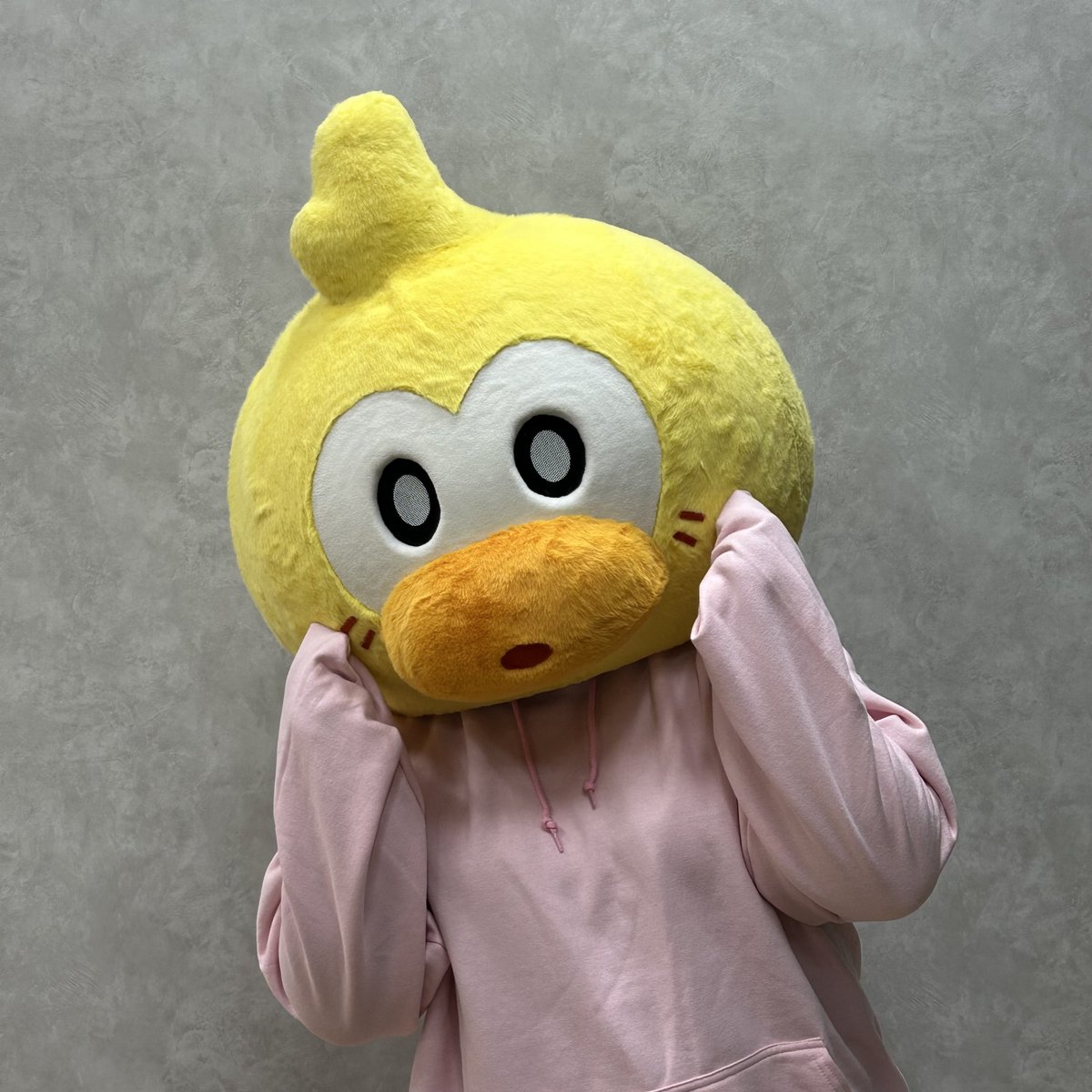 PathtoNowhereJP's tweet photo. 🦆あひるんNEWS🦆

眠れないお悩みはありませんか❓
ベッドに入ると、つい人生について考え始めてしまいますね🛏️
質の良い睡眠なんて、自分には贅沢だと感じているそこのアナタ……
MBCC安眠対策、30秒で夢の中へ‼️💤

① 000の楽曲を聴く
② 錆と一緒にホットココアを一杯
③ インインとともに花の香りをゆっくり吸い込む
④ へルガのハイエナを抱きしめて眠りにつく
⑤ マルガリータが語る異郷の物語に耳を傾ける

自分に合った対策を選びましょう✨💤

#無期迷途