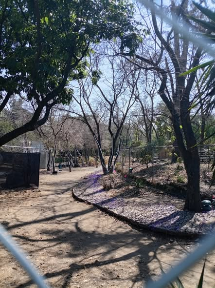 Anticorrupción tweet media