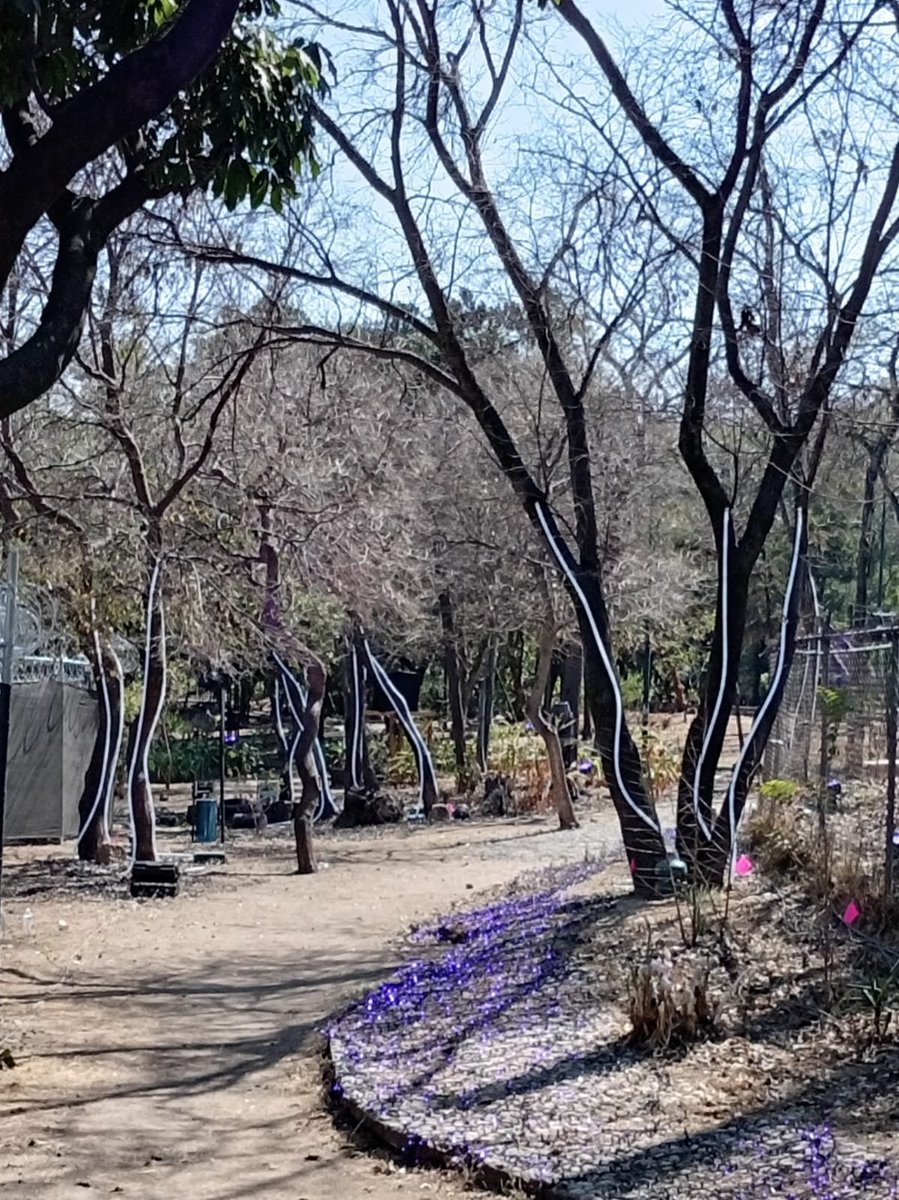 Anticorrupción tweet media