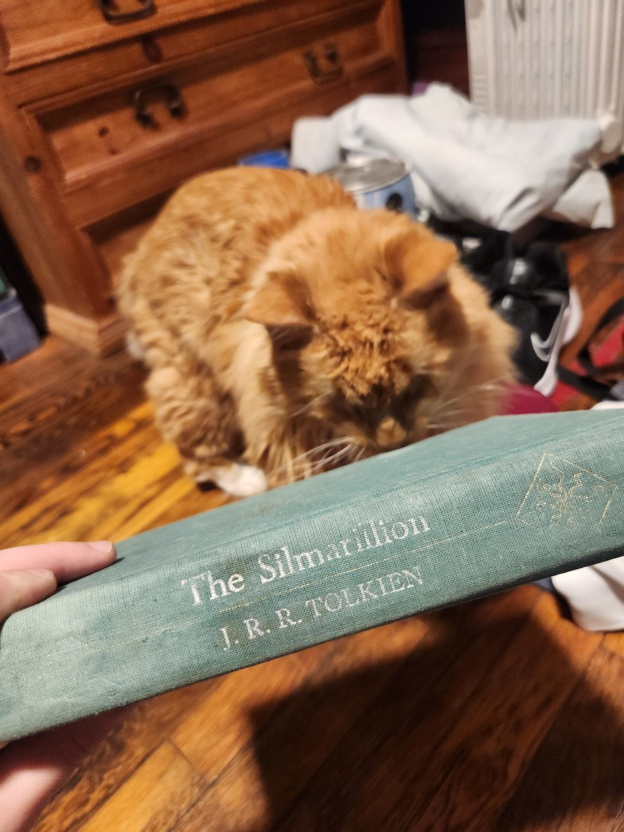 Jesse A. Cook tweet media