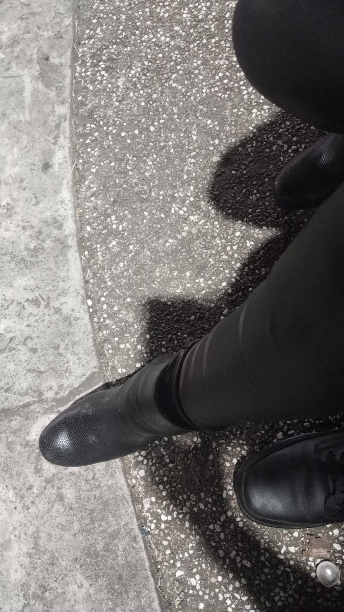 conejitoschetumal tweet media