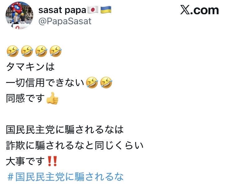 国民民主党支持者って基本的に極端な侮蔑表現を避けるので理性的なイメージがつく反面、他党支持者が侮蔑表現連発で攻撃してきたらどうしても声の大きさ ...