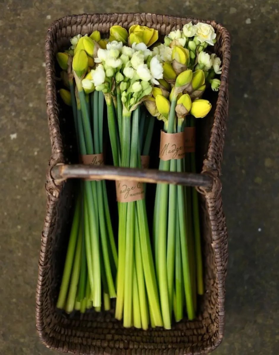 Elle Lookbook tweet media