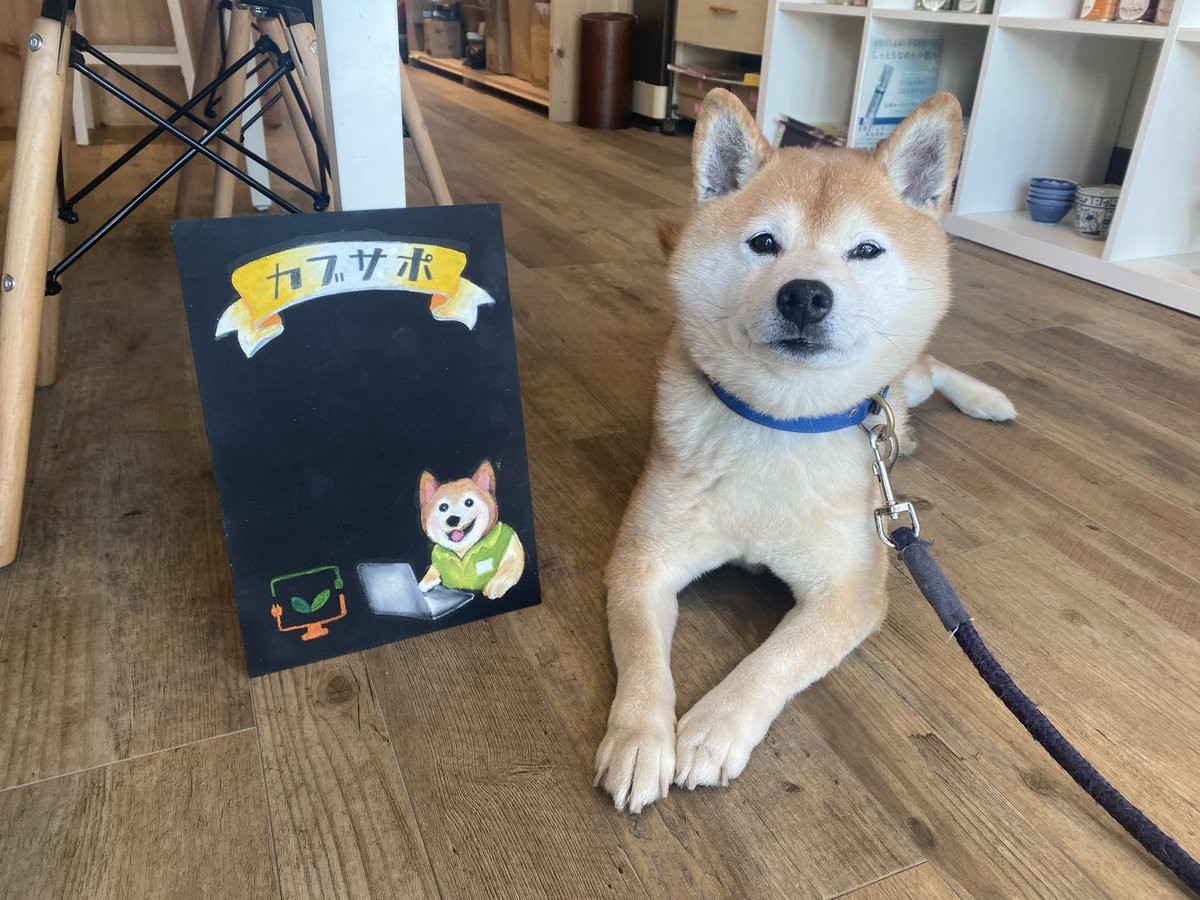 anshintss's tweet photo. こんにちは😃小さな秋葉原・カブサポです！
昨日は、座間市商工会商業部会のチョークアート講座へカブサポも参加させていただきました！
絵の上手なスタッフに行ってもらったので、それはそれはかわいい看板犬おいなりが出来上がりましたよ〜😍
店頭にございますので、ぜひ一度見にいらしてください🪧 https://t.co/nHrbQZe70x