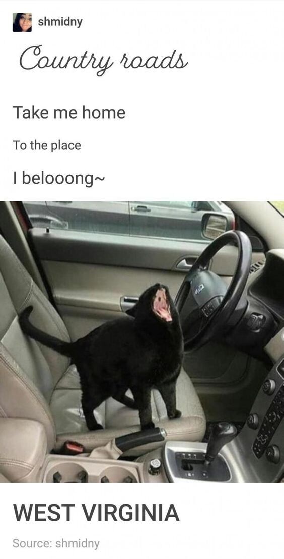 WholesomeMeme's tweet photo. https://t.co/YvPHTEy6Bq