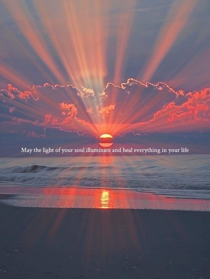 Have happy day 
I love sunshine ❤️