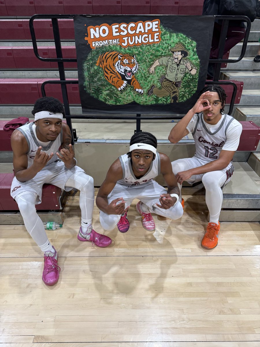 🏀 THE Consol Tigers 🏀 tweet media