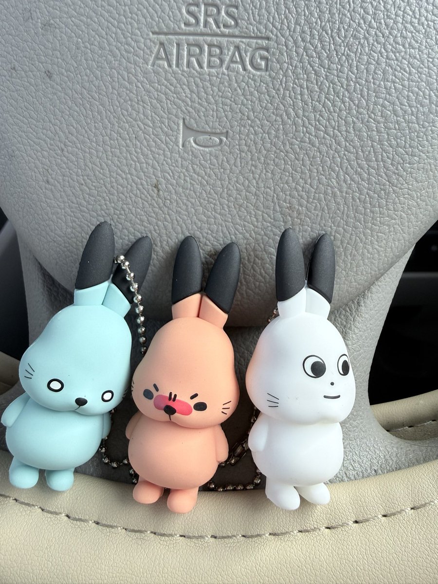 ドコムスさんのガチャ✨やっと見つけた♡ どこうさ可愛いな