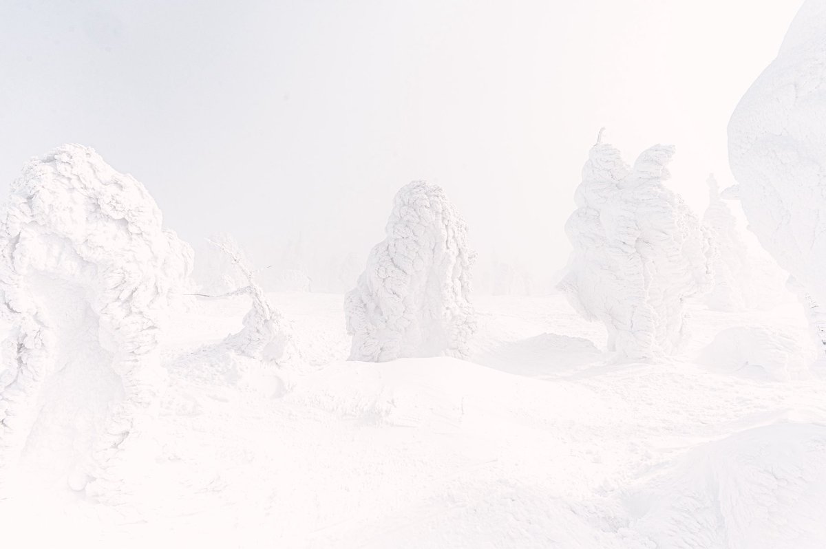 KensakuSEKI's tweet photo. 山形県・蔵王、地蔵岳で見つけた模様。
2026.2.14
#蔵王
#樹氷
#snowmonster https://t.co/7K9NX2dK7z