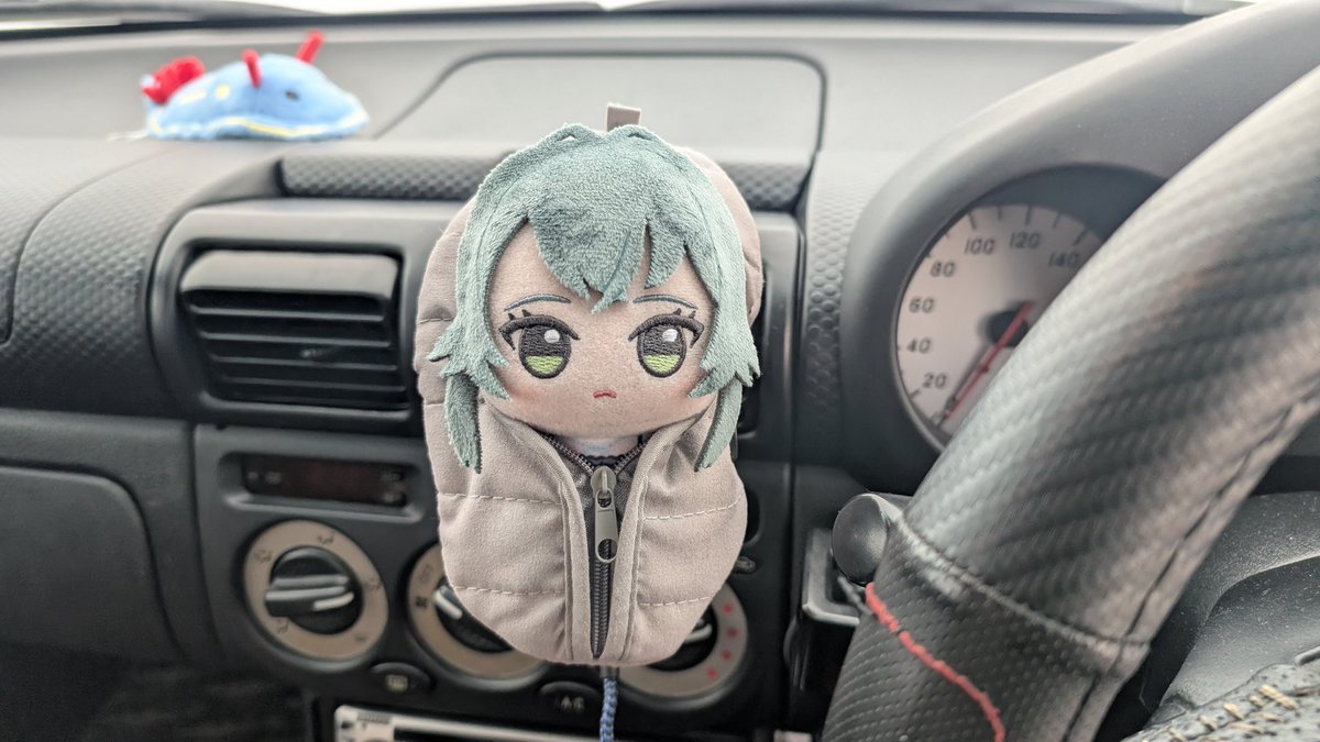 Vild76's tweet photo. スマホホルダーにてまの実が生ってる。 https://t.co/UOgXFKuiOP