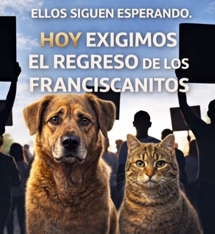 caracolita marina (@caracola7mares) on Twitter photo 