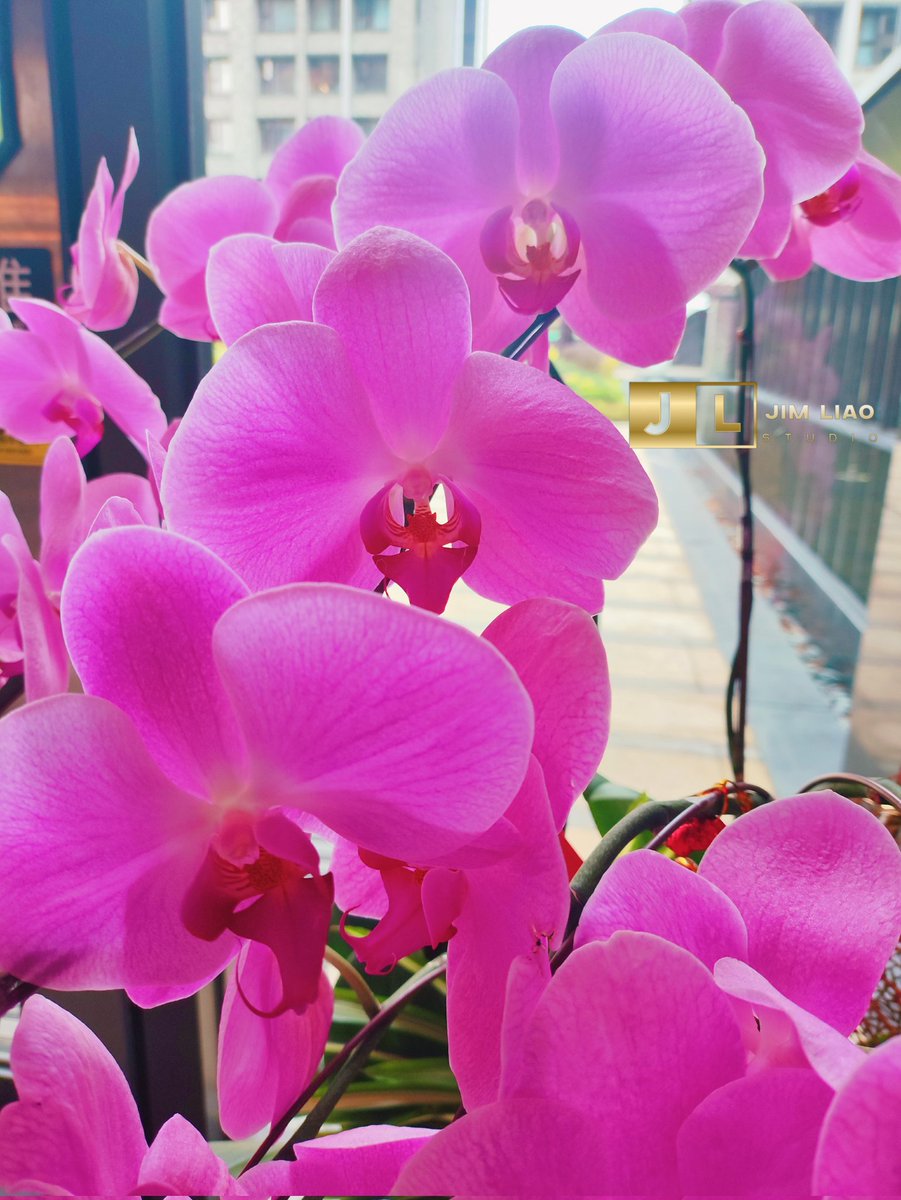 大年初二
新年好