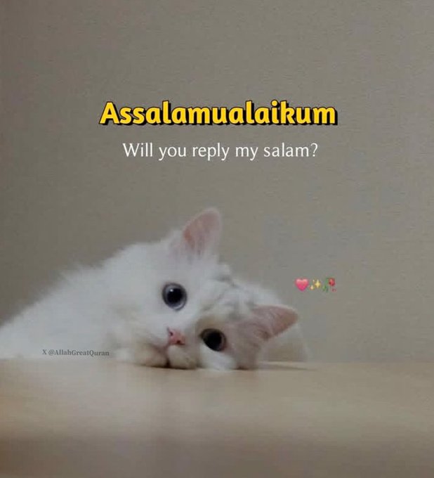 Or u r going to ignore it???