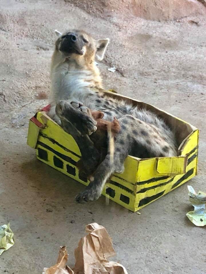 Dude look at these comments.I wish that we had sane people like this in the helldivers community