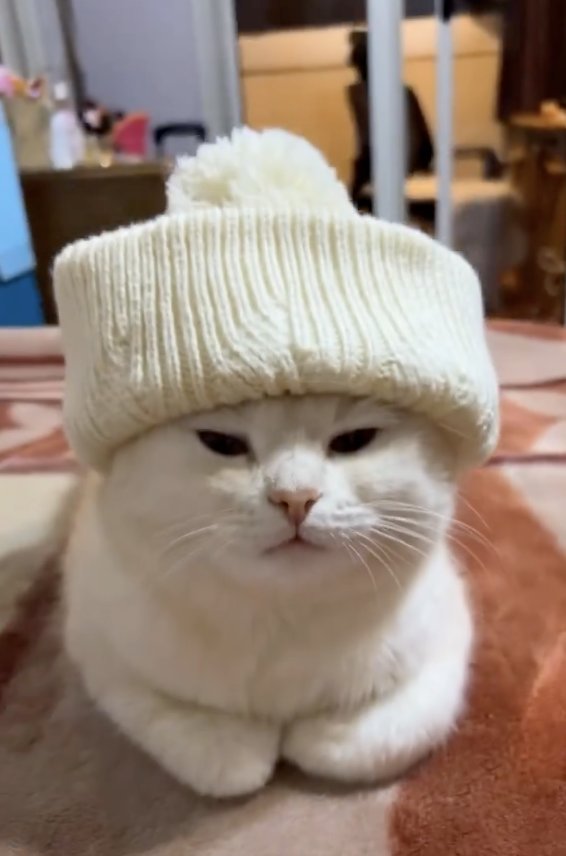 Gm Fam ☀️

Say it back 🤝💛