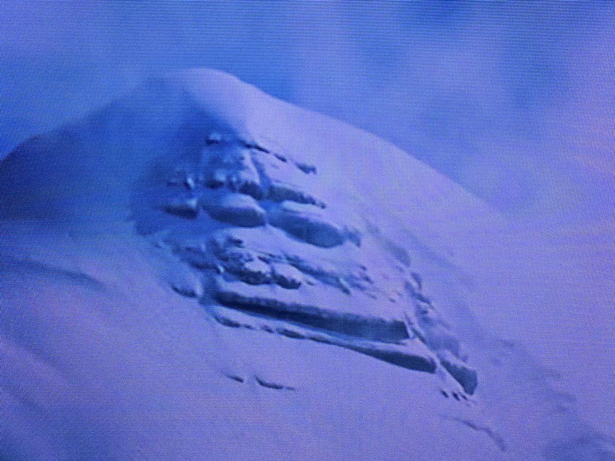 Jay Kukkillaya 🇺🇸 👶🏽 🇮🇳 tweet media