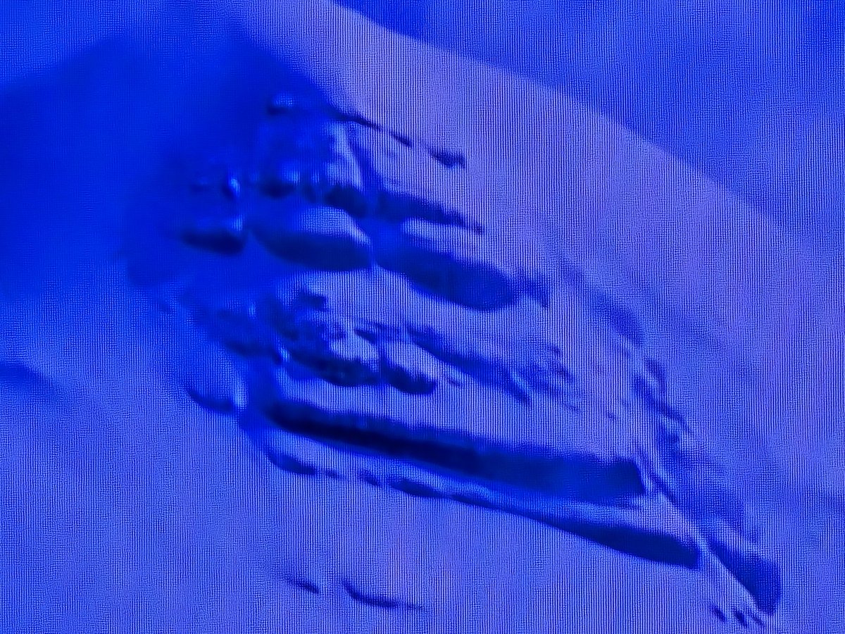 Jay Kukkillaya 🇺🇸 👶🏽 🇮🇳 tweet media