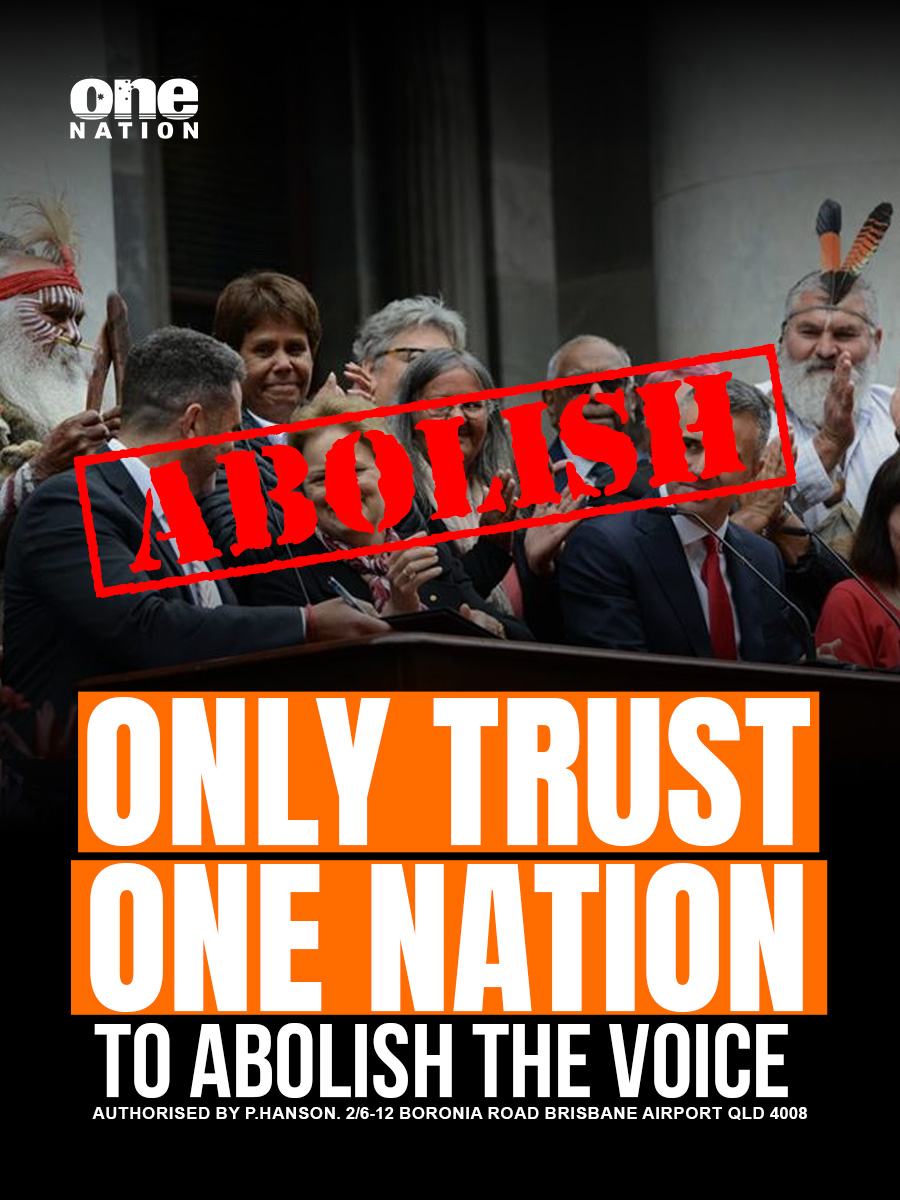 Only Trust One Nation to Remove The Voice
It wasn’t even close. Only in Queensland did a higher proportion of voters reject the proposal. A significant proportion of the Aboriginal community itself across Australia, including in South Australia, voted to reject the Voice.

The