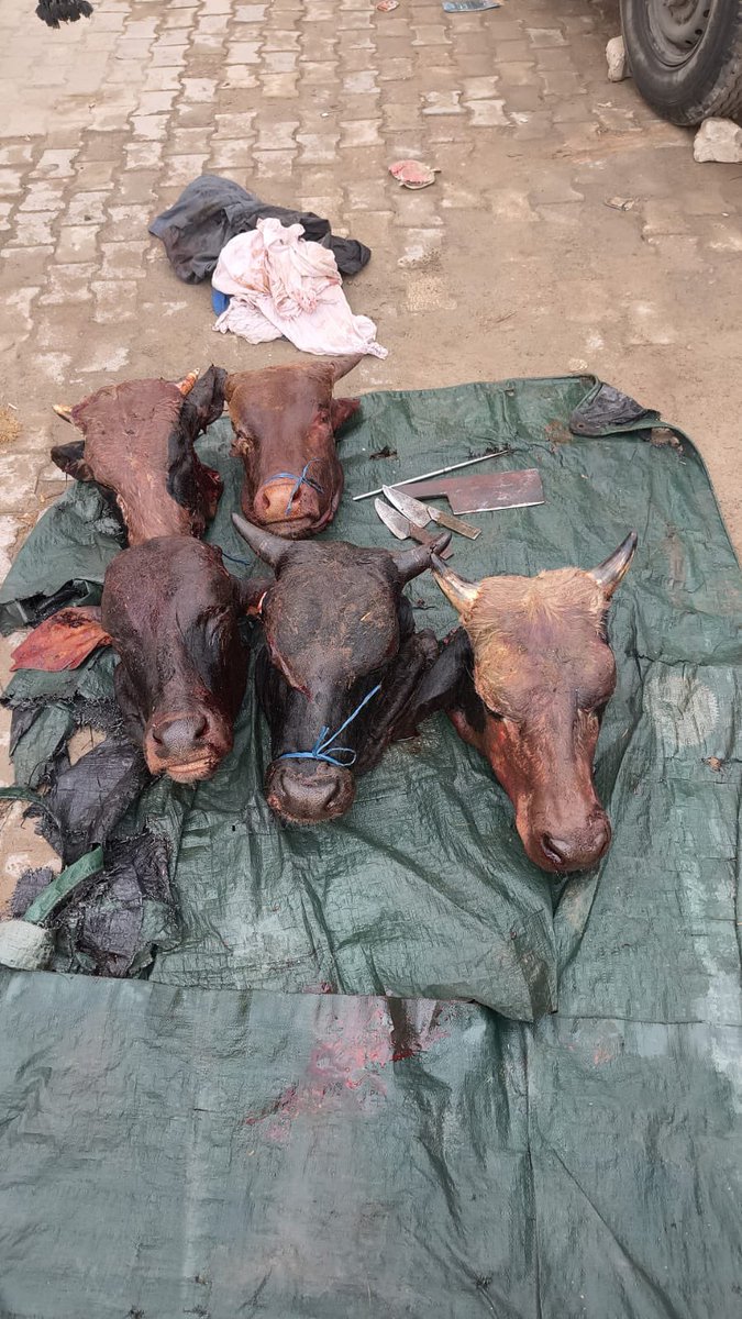 कब तक जिहादी हमारी गौ माता को मारते रहेंगे,और हम सोते रहेंगे।

क्या आप ये सब देख रहे है।

<a href="/CPDelhi/">CP Delhi #DilKiPolice</a> <a href="/LtGovDelhi/">LG Delhi</a> <a href="/HMOIndia/">गृहमंत्री कार्यालय, HMO India</a>